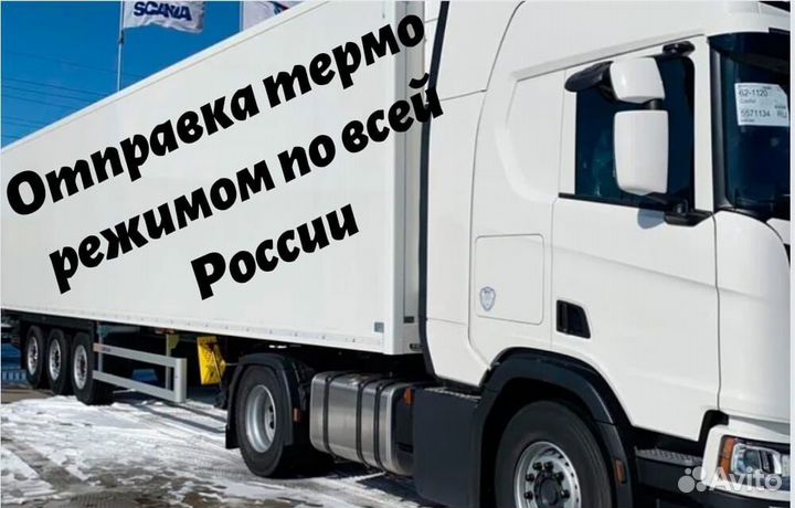 Икра красная лососевая кеты оптом