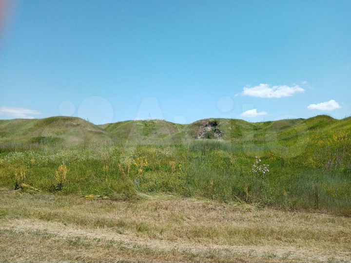 Участок 48 га (СНТ, ДНП)