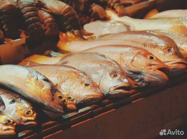 Готовый бизнес: рыбный магазин с потоком