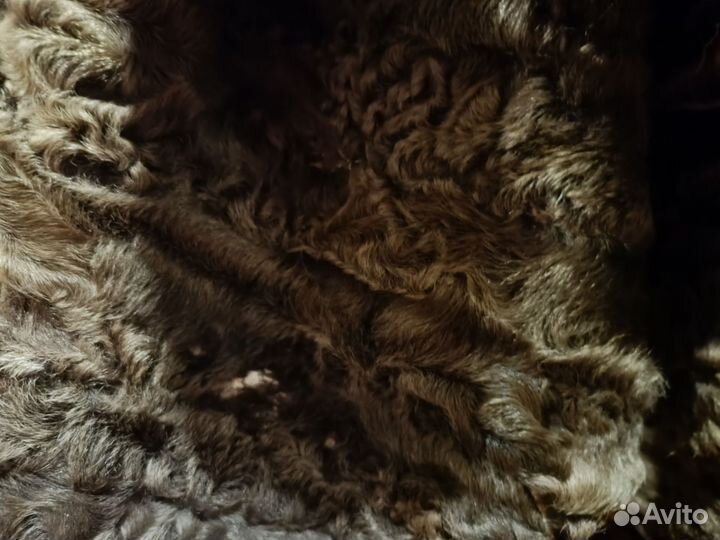 Полушубок из каракуля р50