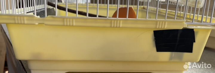 Клетка для попугая