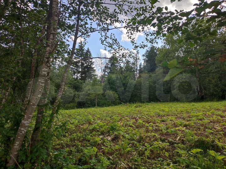 Участок 6,7 сот. (ИЖС)