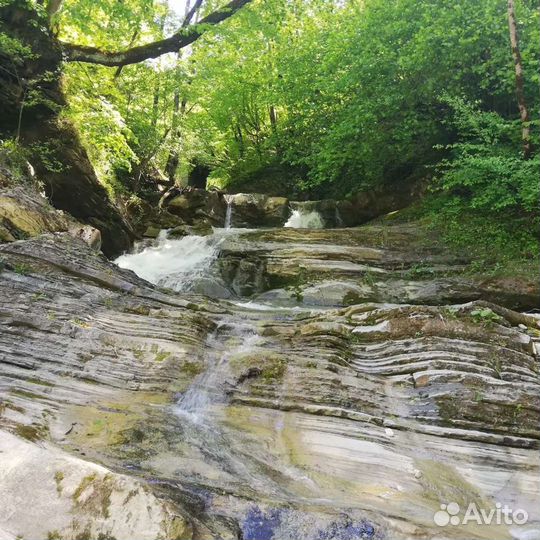 Экскурсии. Трансфер