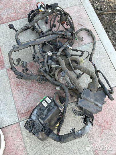 Проводка моторного отсека hyundai solaris