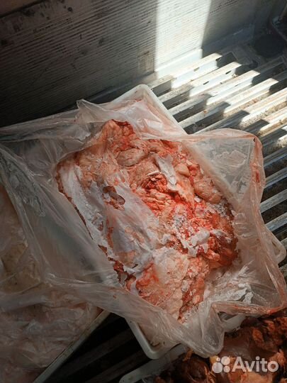 Жир говяжий