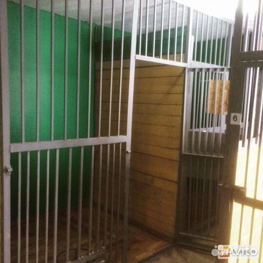 Зоогостиница