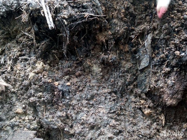 Помет перепелиный, куриный