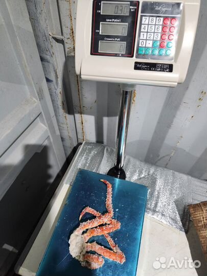 Камчатский краб размер S