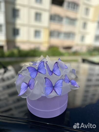 Букет бабочек светящихся