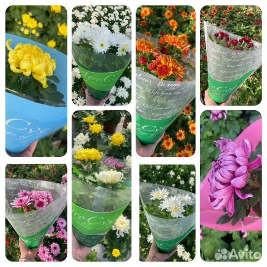 Цветы к 8 марта в горшках