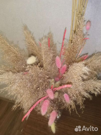 Сухоцвет, Пампасная трава