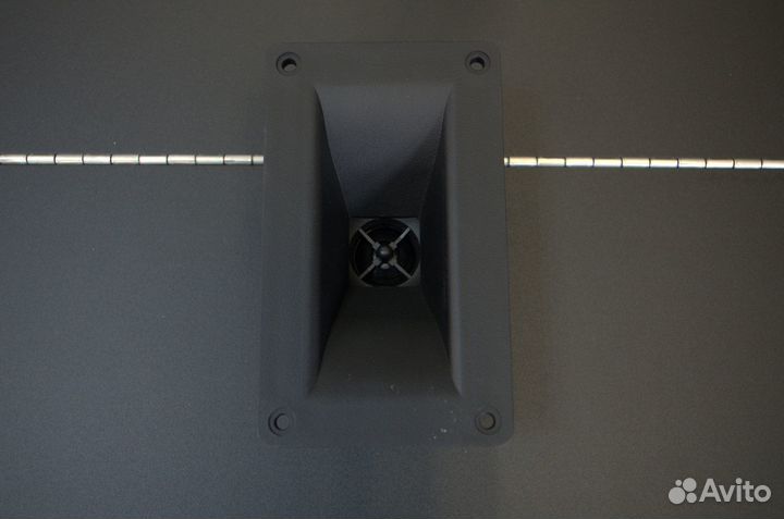 P.Audio PHT-409 - вч твиттер с рупором