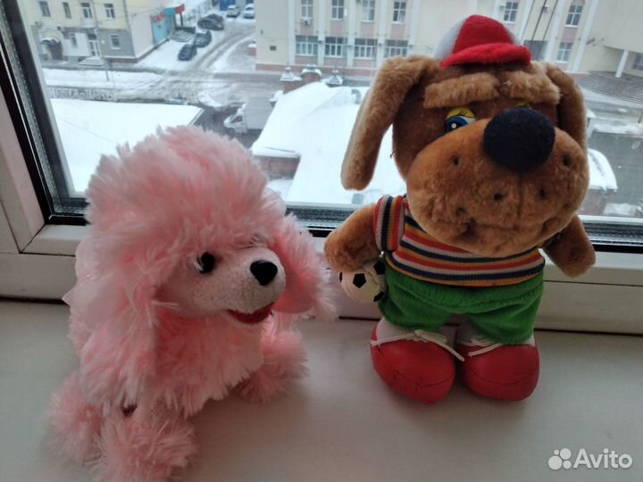 Собака-футболист и пудель-девочка