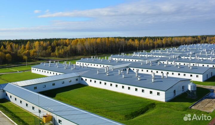 Рабочий на вахту