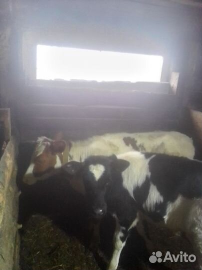 Город Кушва Ул Карла Маркса