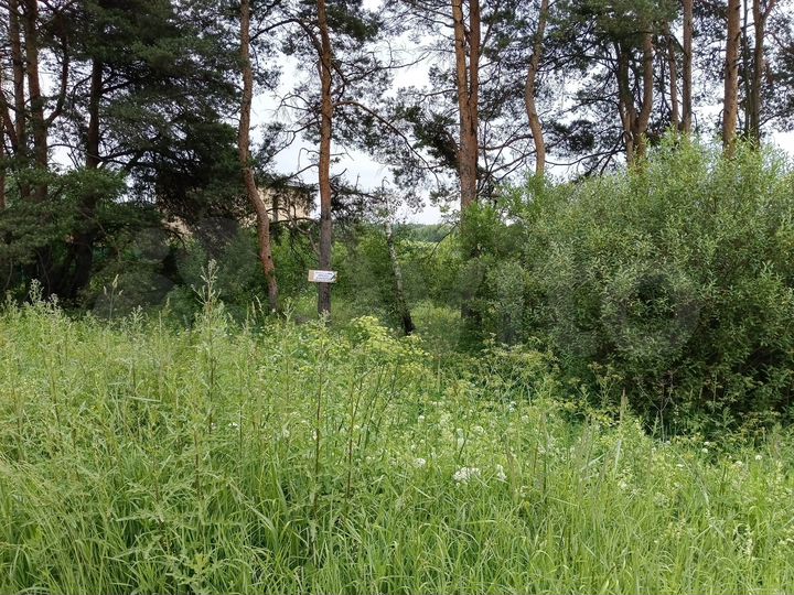 Участок 12,8 сот. (ИЖС)