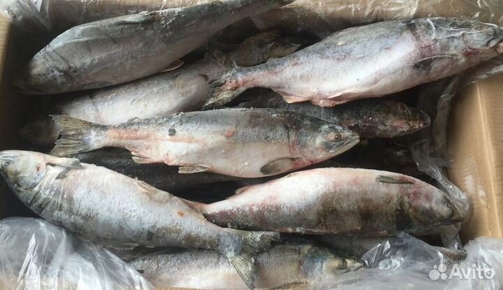 Готовый бизнес в продаже: стабильный магазин свеже