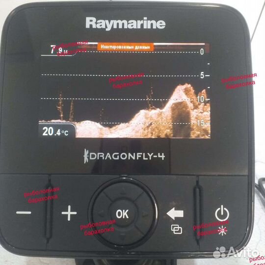 Raymarine Dragonfly 4DV