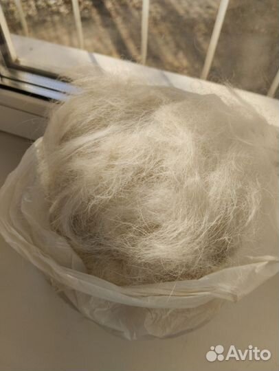 Пух собаки белый