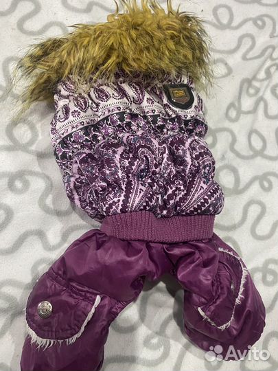 Одежда для собак мелких пород пакетом