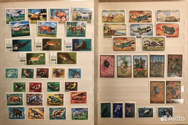 Почтовые марки: Флора и фауна