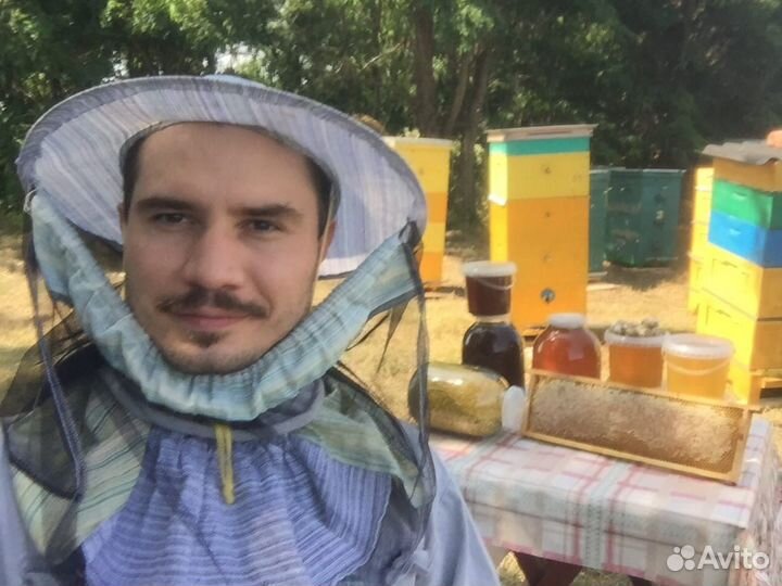 Гречишный мед, Акациевый мёд, Майский мед