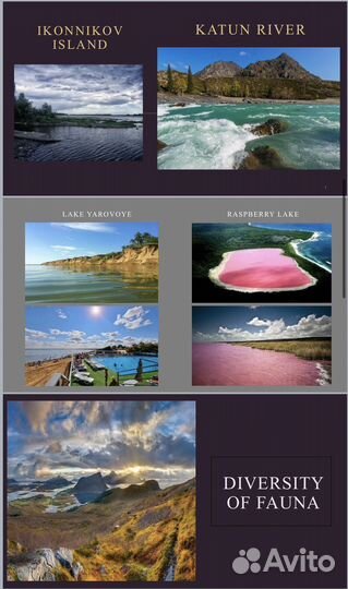 Создание презентаций презентации power point