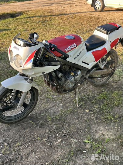 Спортак 250