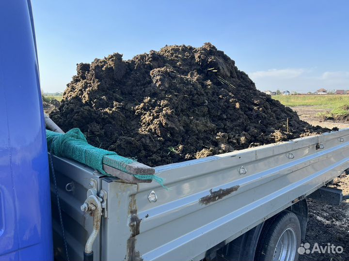 Навоз для клубники