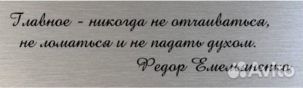 Федор Емельяненко сувенир с автографом на металле