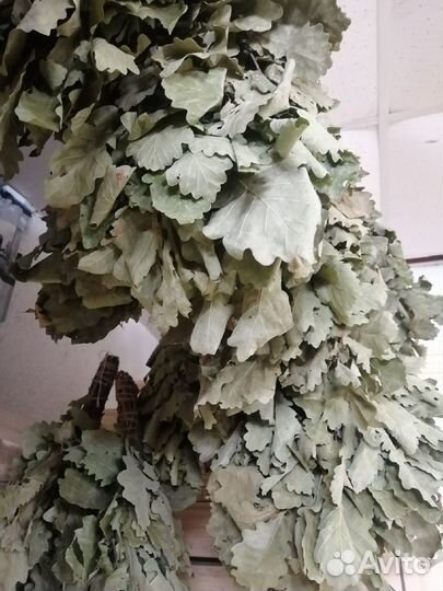 Веник для бани берёза, эвкалипт, дуб
