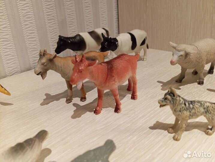 Домашние животные