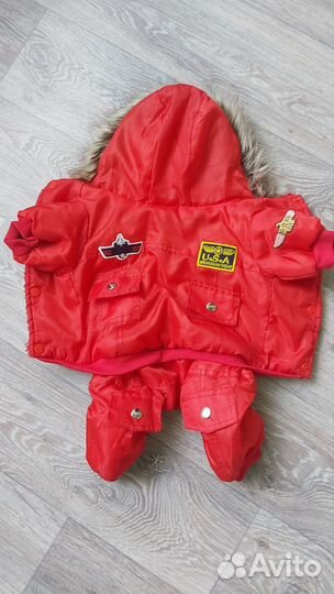 Одежда для собак