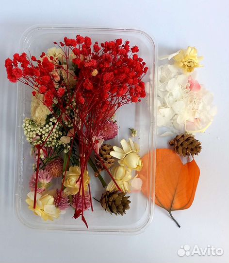 Сухоцветы, сушеные цветы для свечей