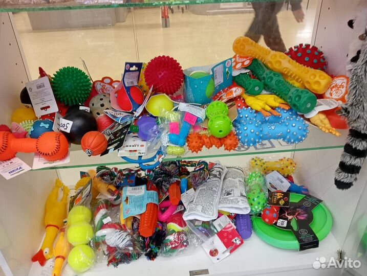 Амуниция и игрушки для животных