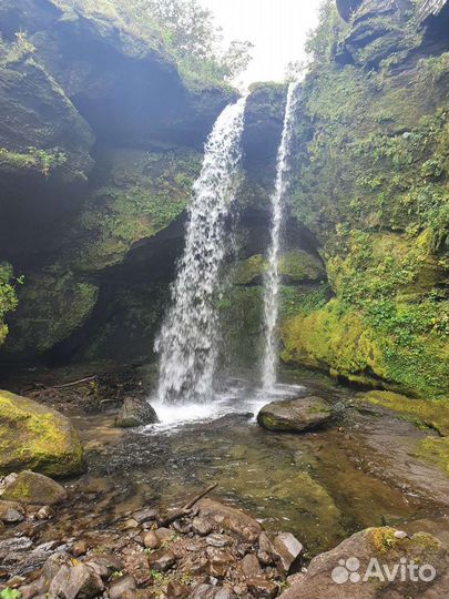 Трансфер по острову (гид с ружьем)