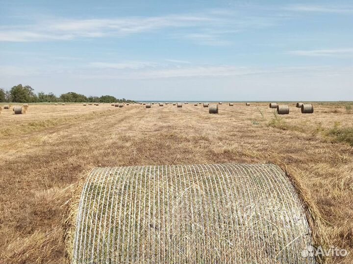 Сено в рулонах