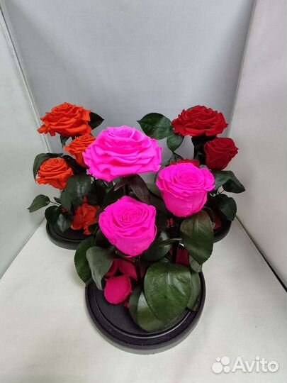 Роза в колбе оптом и в розницу