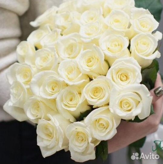 Розы с доставкой белые 21,25 шт
