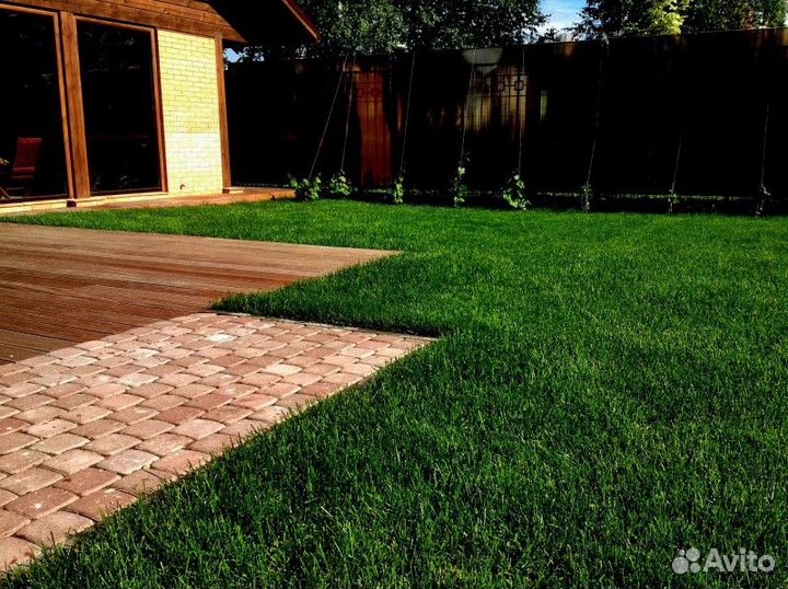 Рулонный газон, укладка рулонного газона