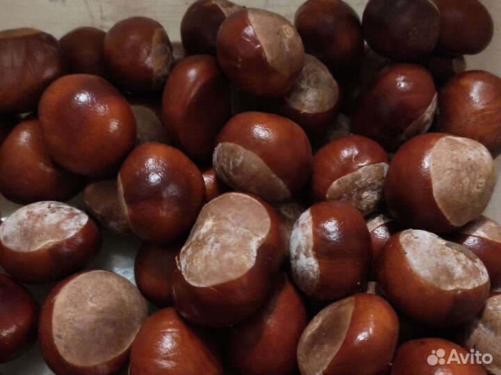 Каштаны для Ирины