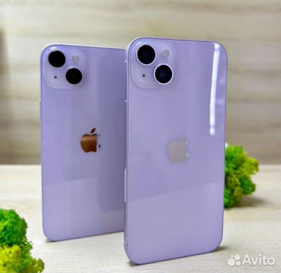 iPhone 14 Plus, 256 ГБ