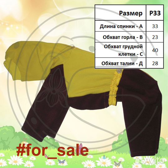 Одежда для левреток