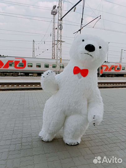 Белый мишка поздравление