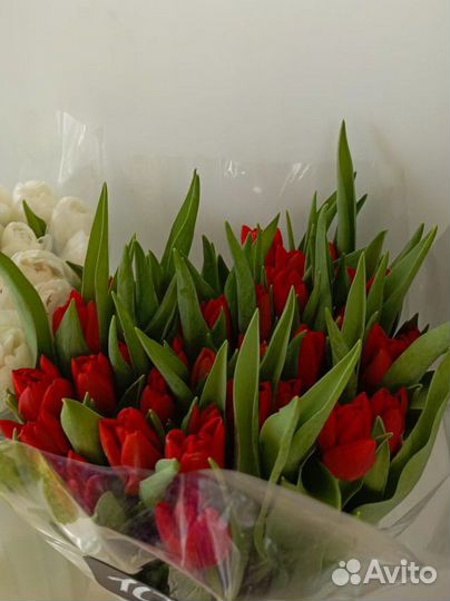Тюльпаны свежие доставка цветов