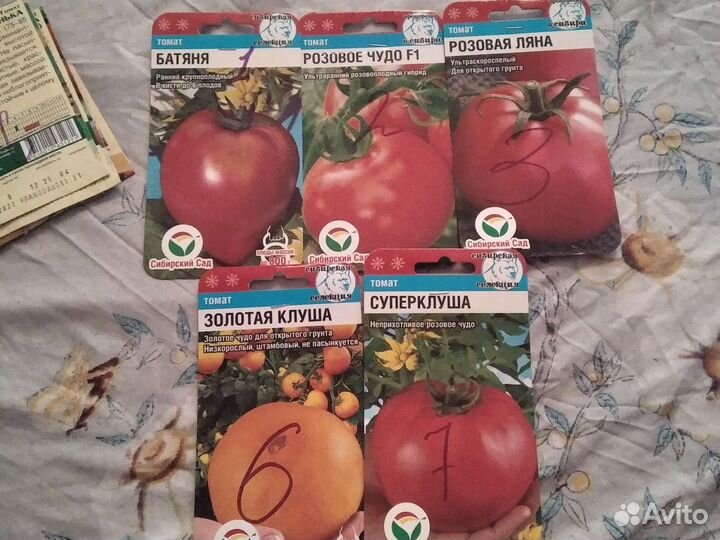 Рассада на весну