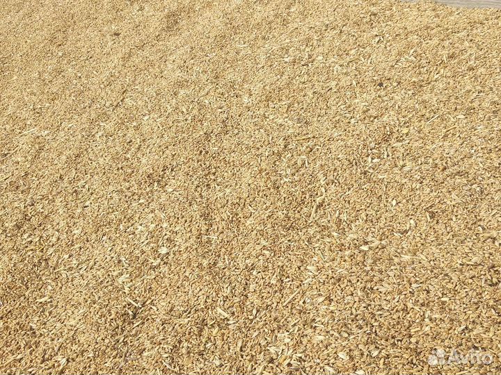 Пшеничные отходы