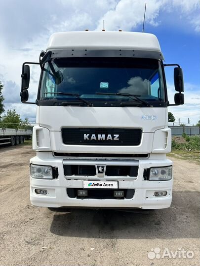 КАМАЗ 5490, 2018