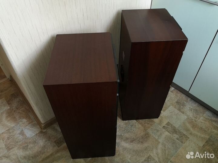 Колонки Радиотехника S90b