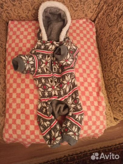 Зимний костюм для собаки (такса)